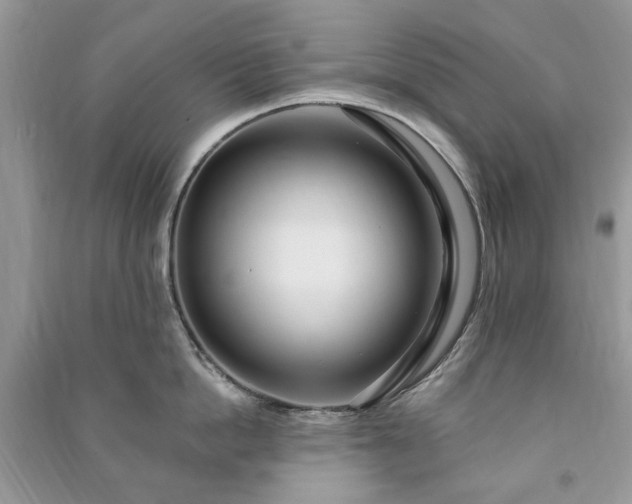 X0000090980862200708091456