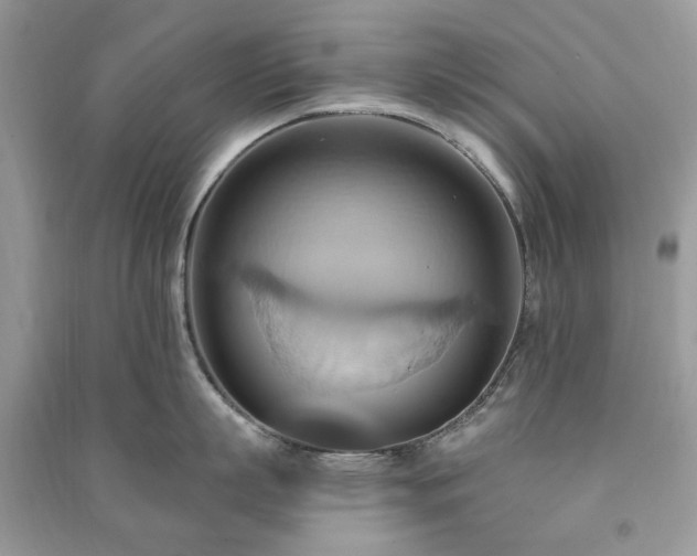 X0000090980863200708091456