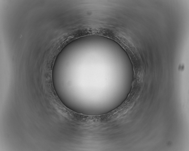 X0000090980865200708091455
