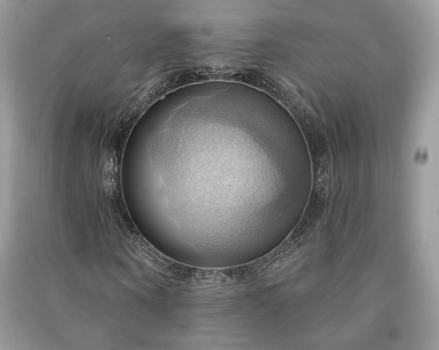 X0000090980866200708091455