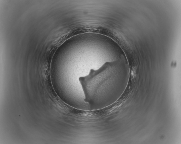 X0000090980867200708091455