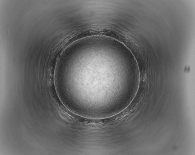 X0000090980868200708091455