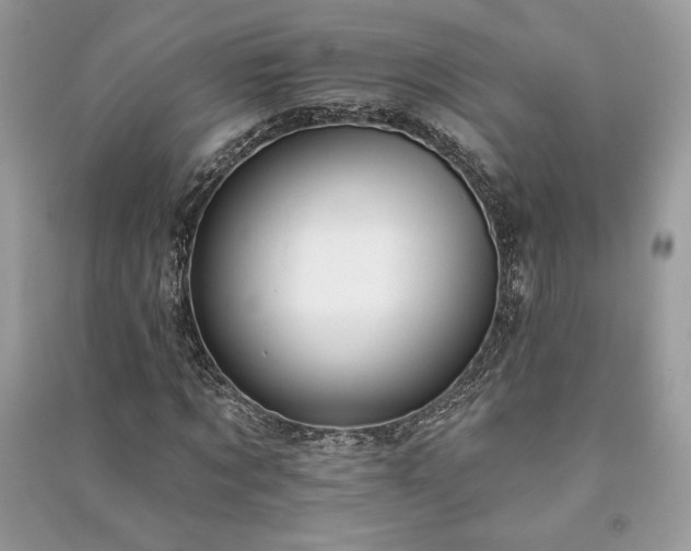 X0000090980869200708091455