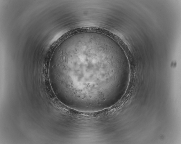 X0000090980871200708091455