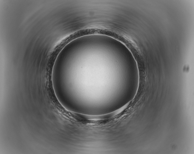 X0000090980872200708091455