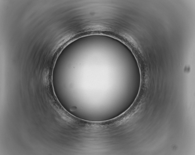 X0000090980873200708091455