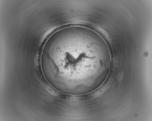 X0000090980875200708091455