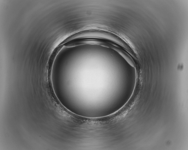 X0000090980877200708091455