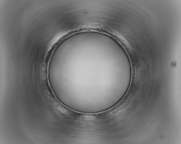X0000090980878200708091455