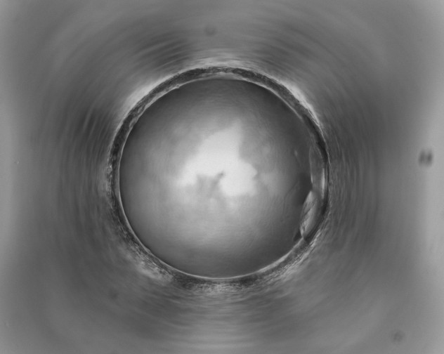 X0000090980879200708091455