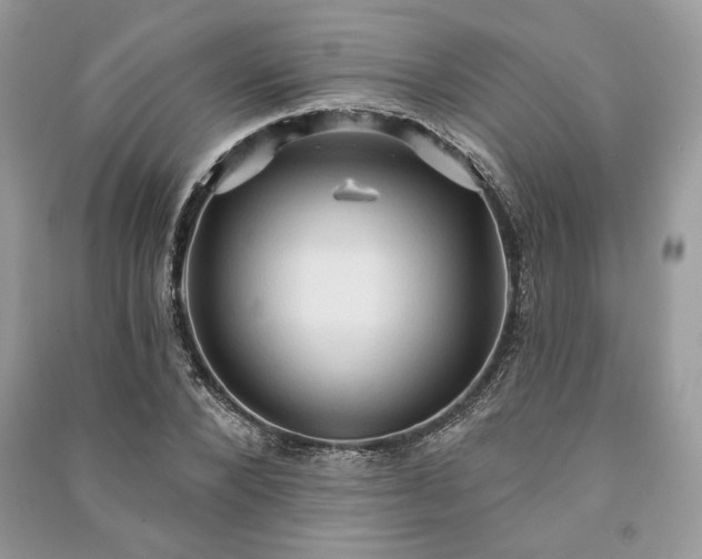X0000090980880200708091455