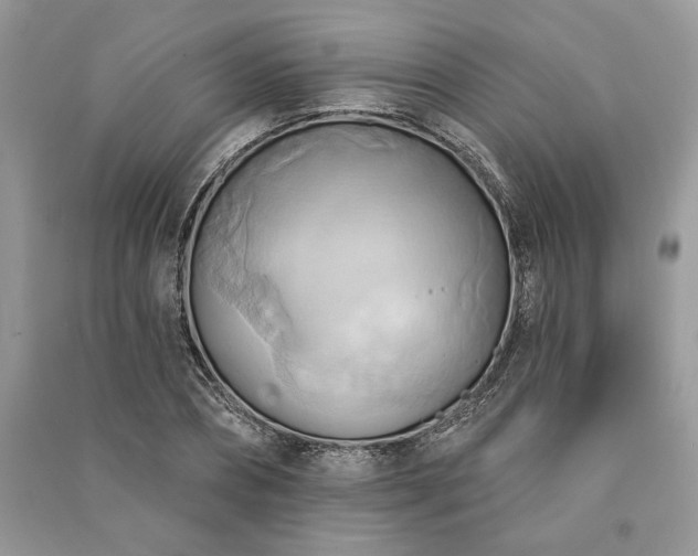 X0000090980882200708091455