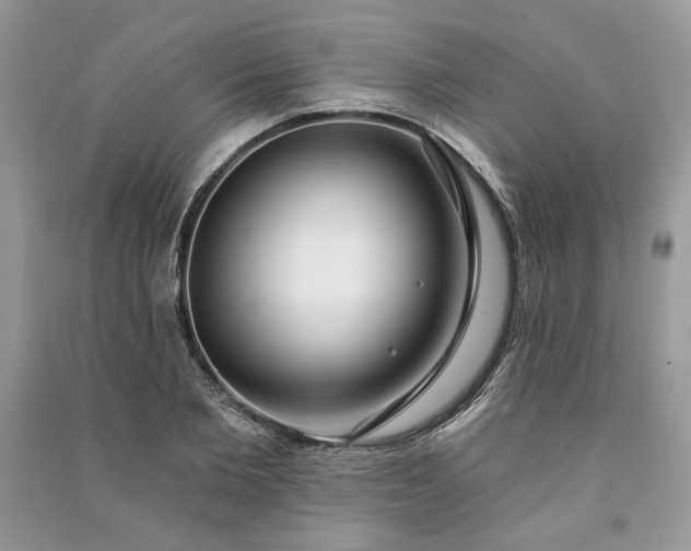 X0000090980885200708091455