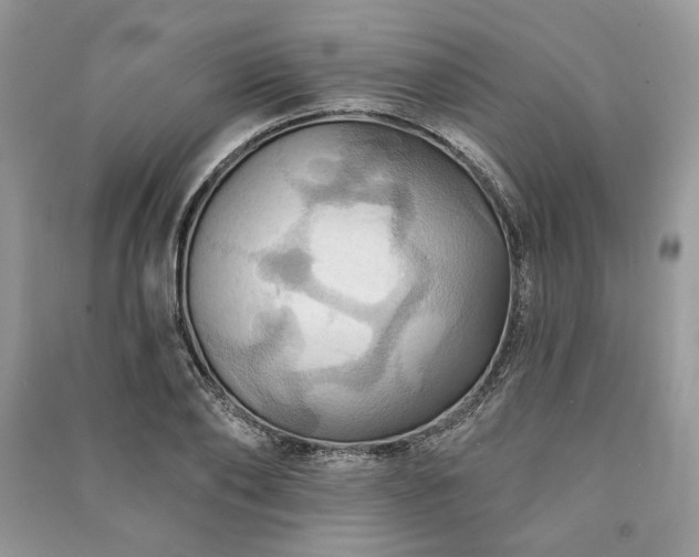 X0000090980886200708091455