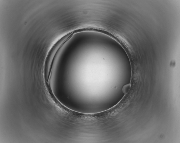 X0000090980888200708091455