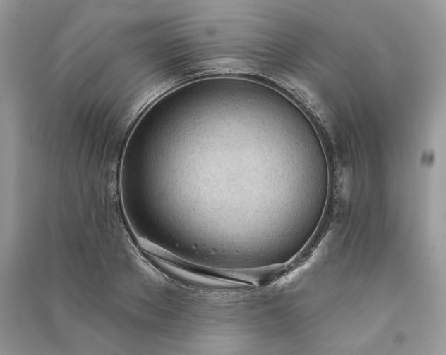 X0000090980889200708091455
