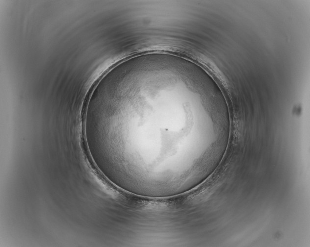 X0000090980890200708091455