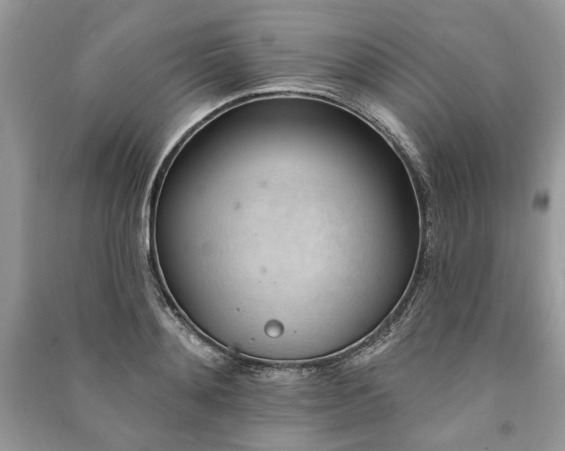 X0000090980892200708091455