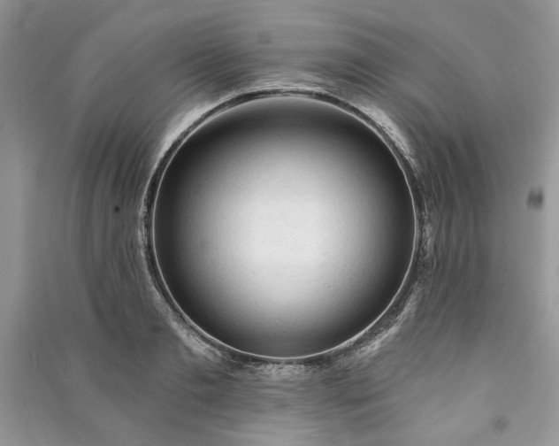 X0000090980893200708091455