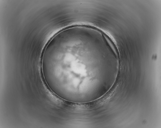 X0000090980895200708091455