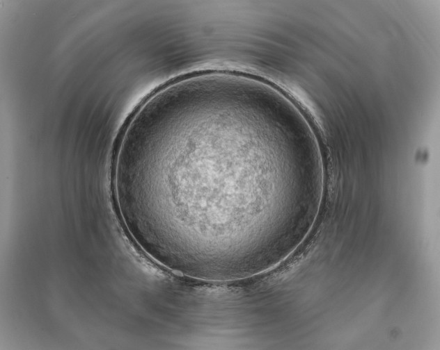 X0000090980896200708091455