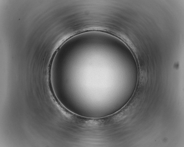 X0000090980898200708091455