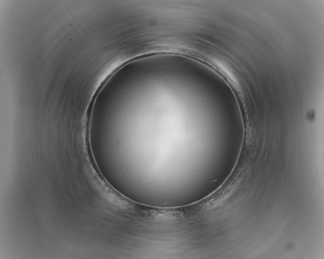 X0000090980899200708091455