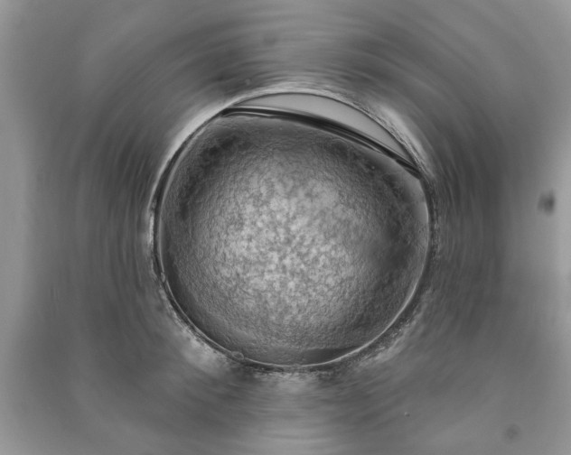 X0000090980900200708091455