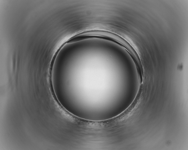 X0000090980901200708091455