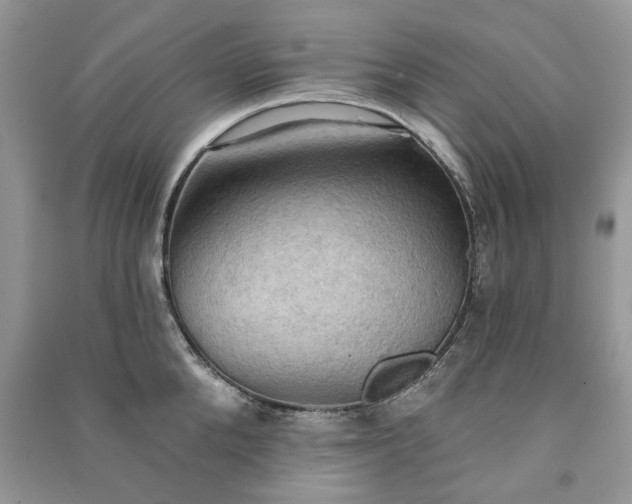 X0000090980904200708091455