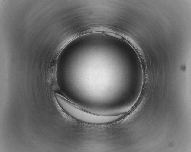 X0000090980905200708091455