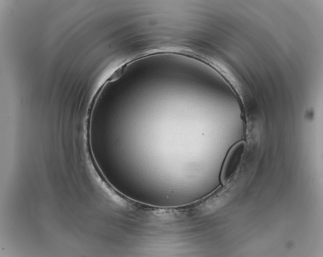 X0000090980906200708091455
