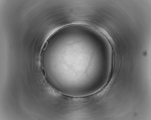 X0000090980908200708091455