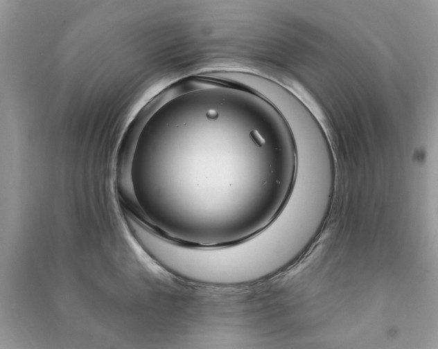 X0000090980909200708091455