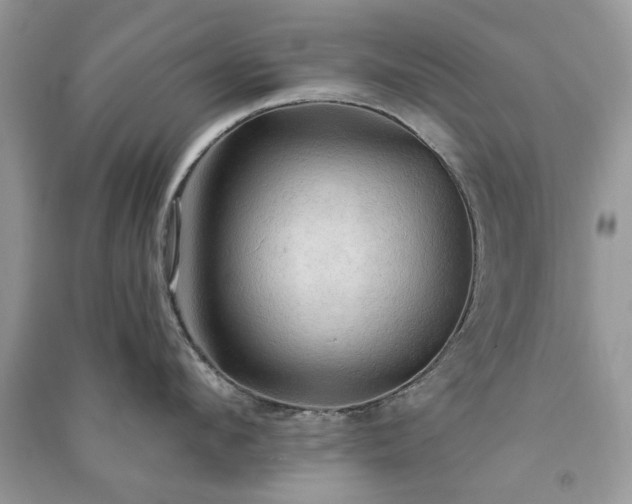 X0000090980912200708091455