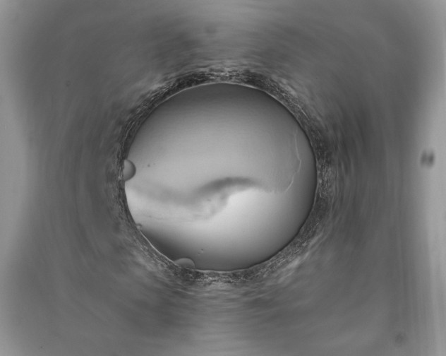 X0000090980913200708091454