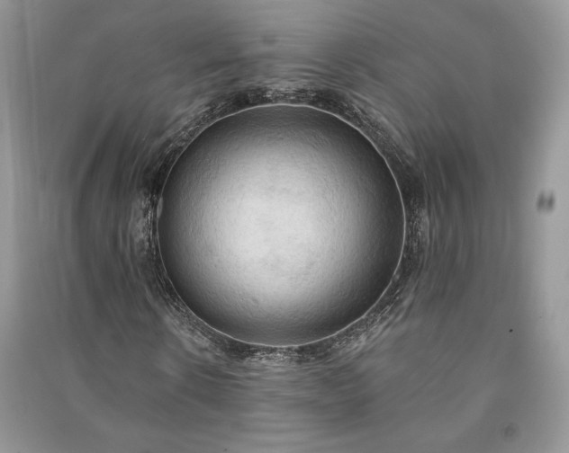 X0000090980914200708091454