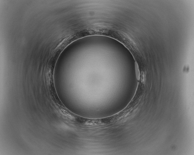 X0000090980915200708091454