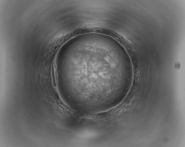 X0000090980917200708091454