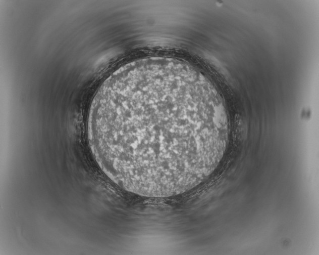 X0000090980918200708091454