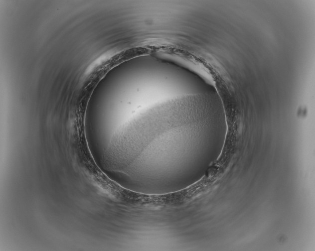X0000090980920200708091454