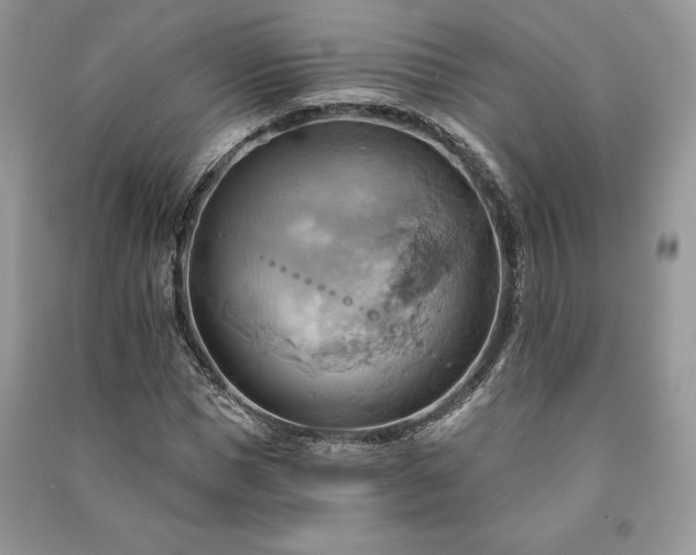 X0000090980921200708091454