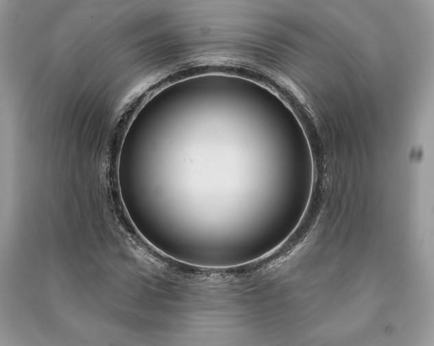 X0000090980922200708091454