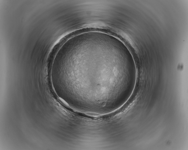 X0000090980923200708091454