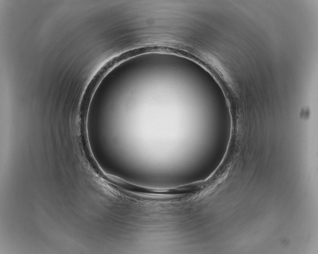 X0000090980924200708091454