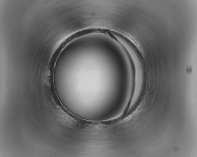 X0000090980926200708091454