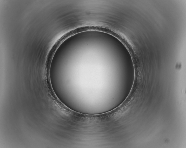 X0000090980927200708091454