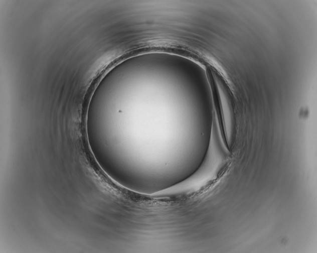 X0000090980930200708091454