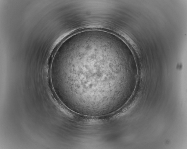 X0000090980933200708091454