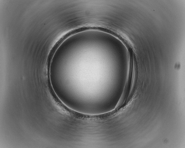 X0000090980934200708091454